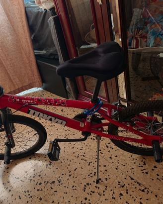 bici bmx