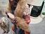 Immagine 2