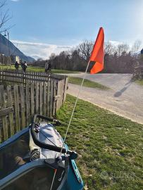 Rimorchio per bambini Qeridoo Kidgoo2