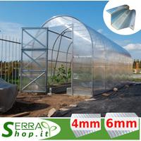 Serra 2x4 tunnel policarbonato orto piante vivaio