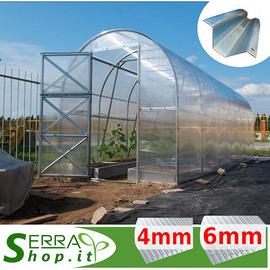 Serra 2x4 tunnel policarbonato orto piante vivaio