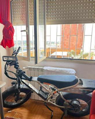 Bici elettrica