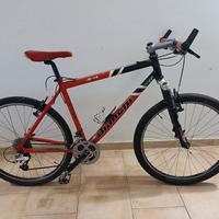 Bianchi Mountain bike 