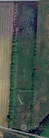 Terreno agricolo