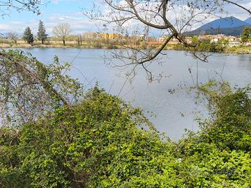 Segretaria coordinatrice