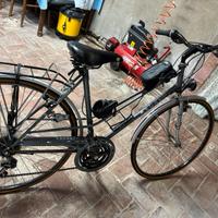 Bicicletta donna