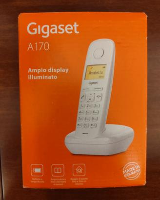 Cordless Gigaset A170