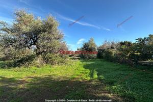 Terreno, Termini Imerese.