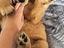 Immagine 1