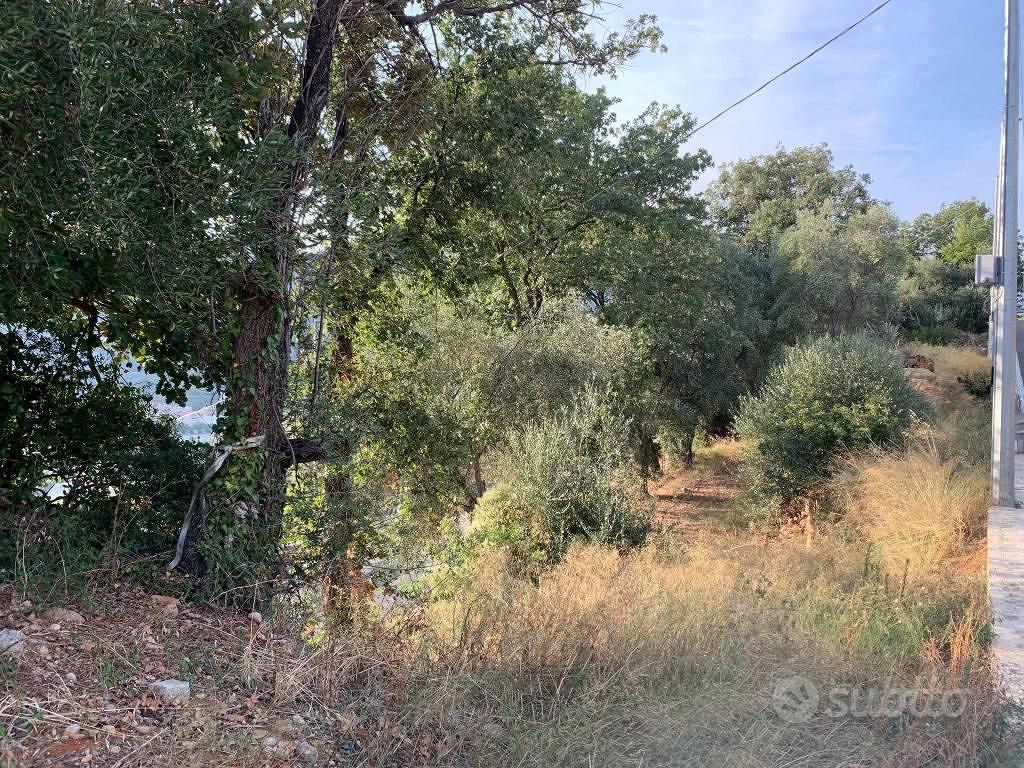 Terreno di 1400 m² a Camporosso - Vista 5