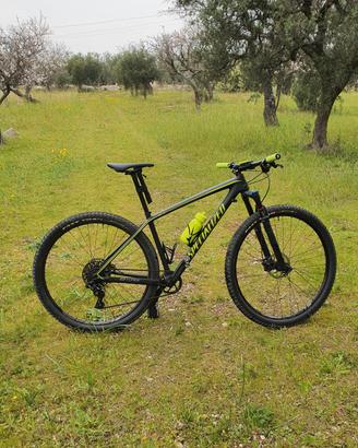 specialized epic