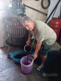  mosto primitivo fatto in casa