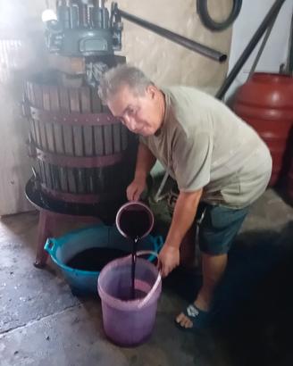  mosto primitivo fatto in casa