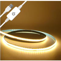 Striscia LED usb colore bianco caldo 3000k con bia