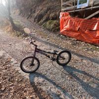 BICICLETTA DA TRIAL MONTY 19"