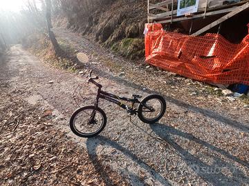 BICICLETTA DA TRIAL MONTY 19"