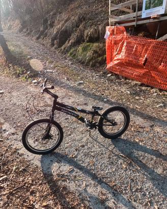 BICICLETTA DA TRIAL MONTY 19"