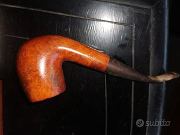 Pipa usata Bent