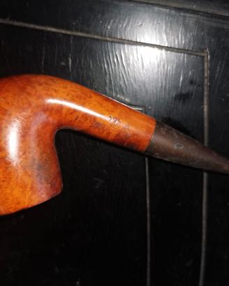 Pipa usata Bent
