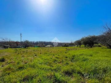 TER. RESIDENZIALE A MANZIANA
