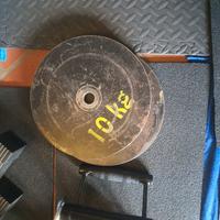 dischi palestra 10kg