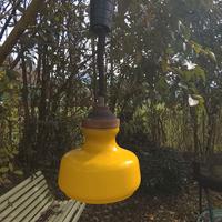 coppia di lampadari vintage 