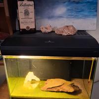 acquario Mirabello 35 litri 