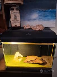 acquario Mirabello 35 litri 