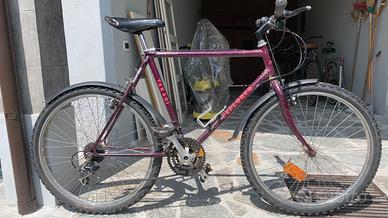 Bicicletta mtb