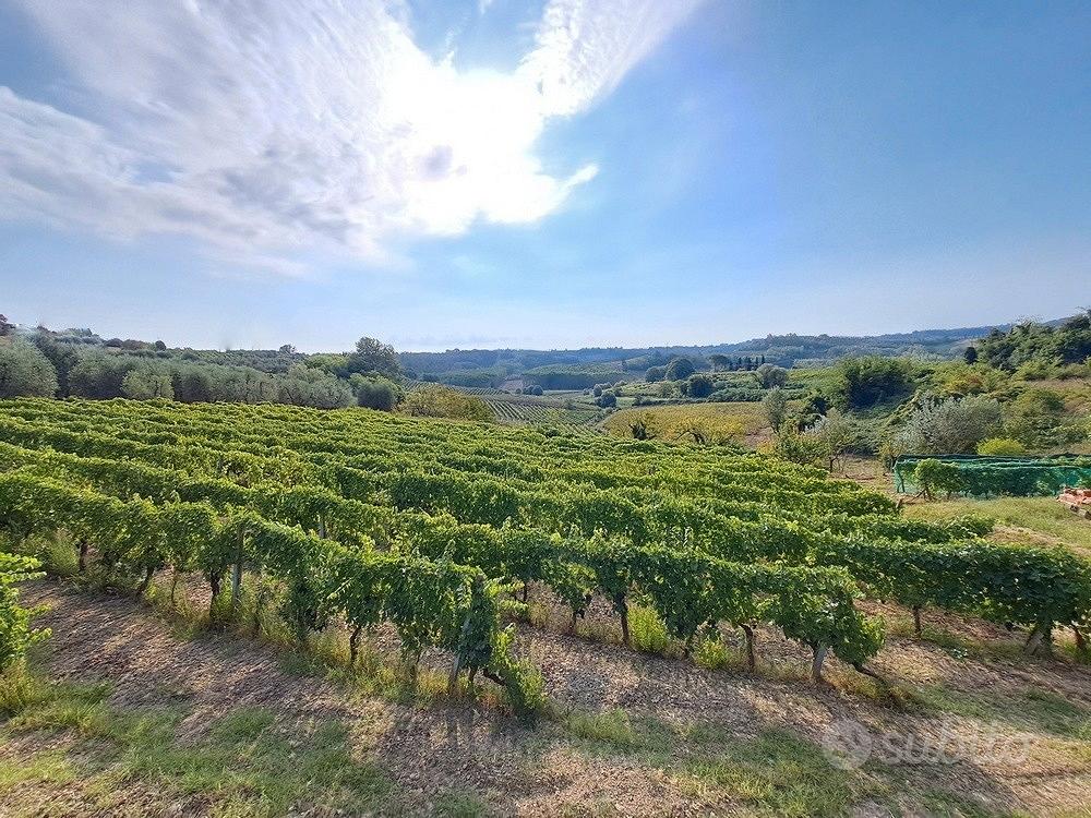 Podere in collina Terricciola Pisa - Altro
