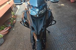 TRK 502 x Perfetta