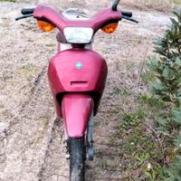 Piaggio free 50.