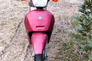 Piaggio free 50.