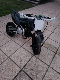 Pit bike 110 Automatica