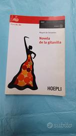 Novela de la Gitanilla e Lazarillo de Tormes