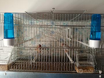 Animali
