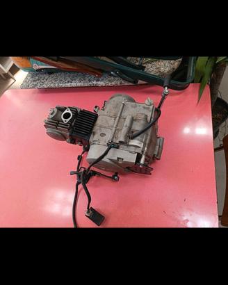 motore pit bike 125