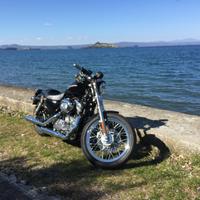 Sportster 883 super low