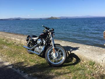 Sportster 883 super low