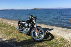 Sportster 883 super low