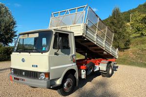 OM 60 Q.li CASSONE RIBALTABILE