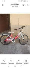 bicicletta 