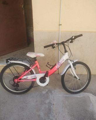 bicicletta 