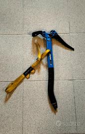 Picozza Charlet Moser 