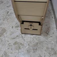 Ruota per gatti