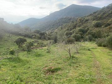 Dolianova, "Sa Matta Manna" terreno agricolo
