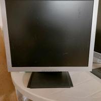 monitor per pc 19 pollici