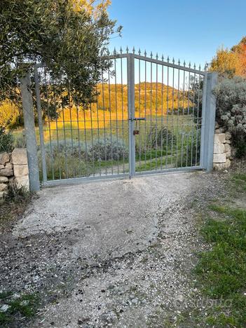 Terreno con Vigna e Oliveto