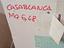 Immagine 3