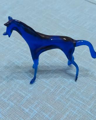cavallo